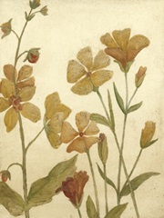 Small Wildflower Field I