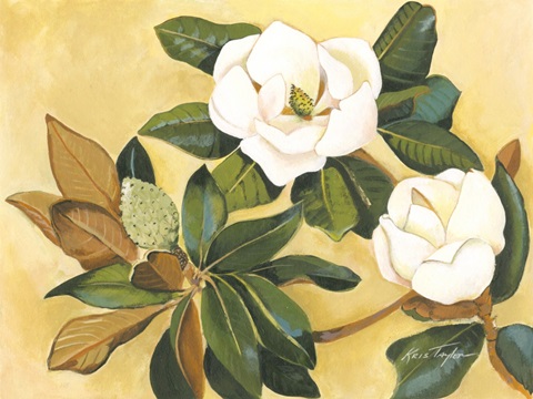 Southern Magnolia I