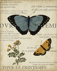 Specimen of Natural Beauty I