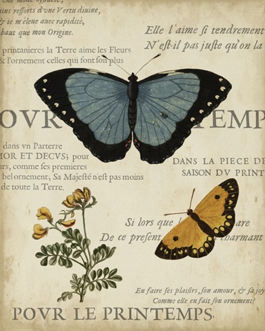 Specimen of Natural Beauty I