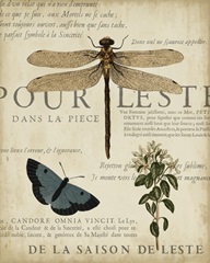 Specimen of Natural Beauty II