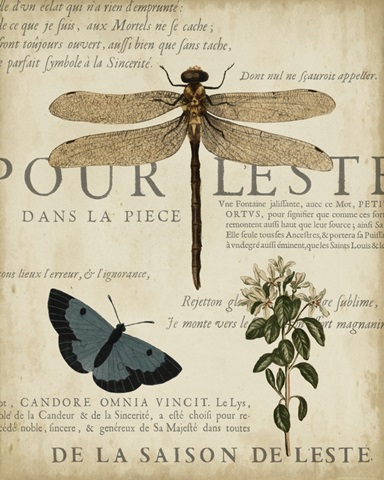 Specimen of Natural Beauty II