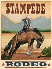 Stampede Rodeo