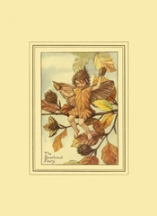 The Beechnut Fairy