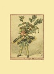 The Box Tree Fairy