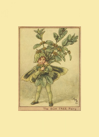 The Box Tree Fairy