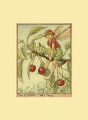 The Cherry Tree Fairy