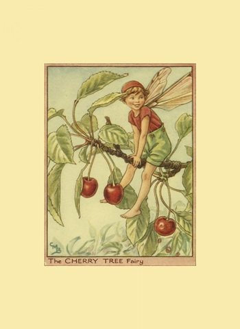 The Cherry Tree Fairy