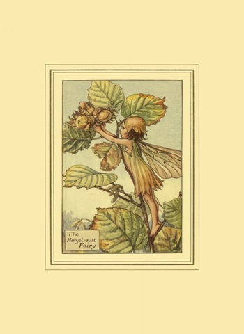 The Hazelnut Fairy