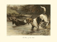 The Home of the Otter