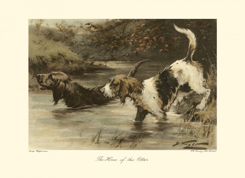 The Home of the Otter