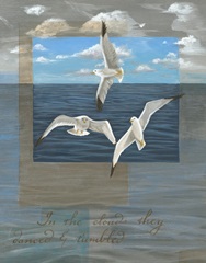 Three White Gulls II