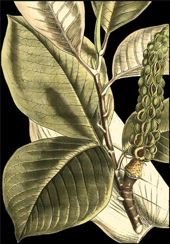 Tranquil Tropical Leaves II