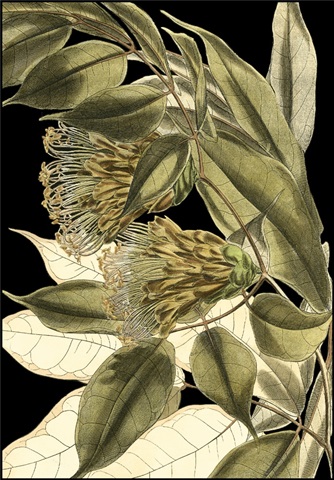 Tranquil Tropical Leaves VI