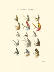 Trout Flies I