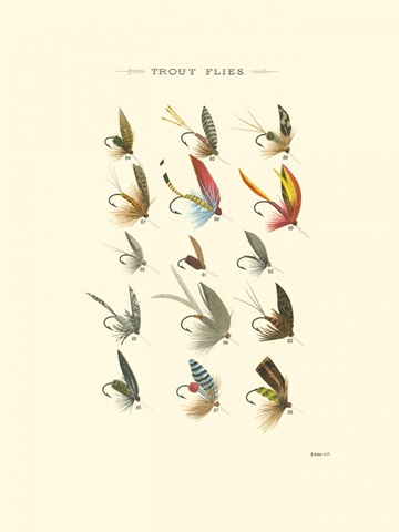 Trout Flies I