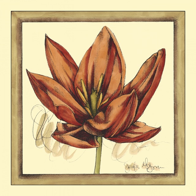 Tulip Study II