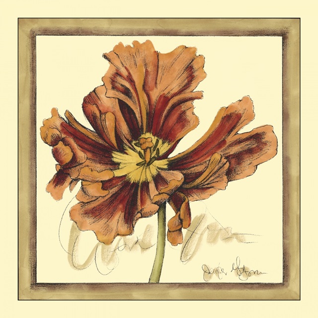 Tulip Study III