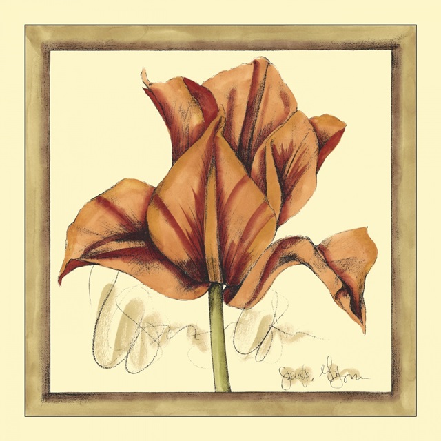 Tulip Study IV