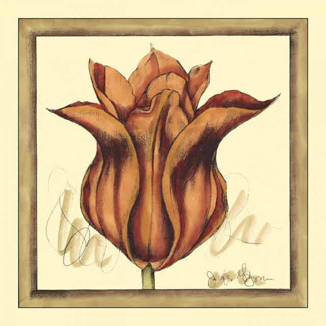 Tulip Study VI