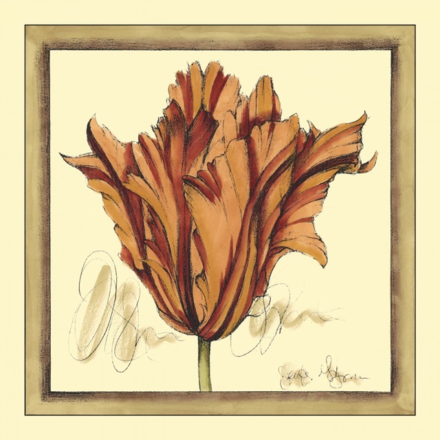 Tulip Study VII