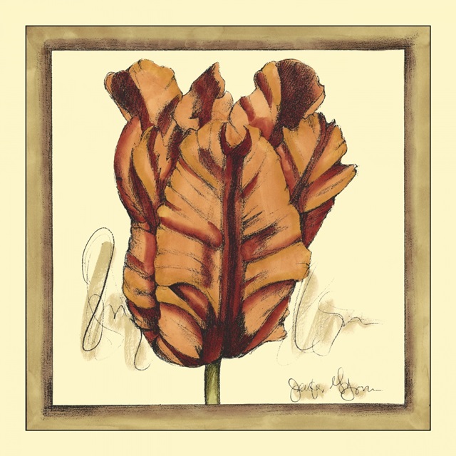 Tulip Study VIII