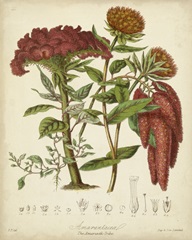 Twining Botanicals II