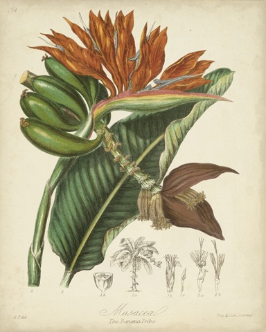 Twining Botanicals III