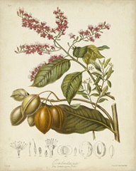 Twining Botanicals IV