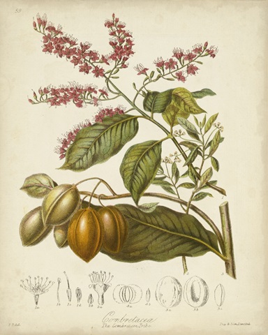 Twining Botanicals IV