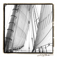 Under Sail II