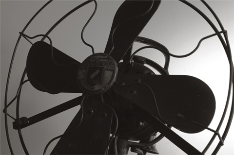 Vintage Fan Study III