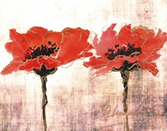 Vivid Red Poppies V