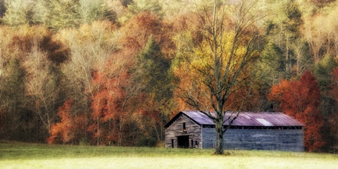 Waiting For the Harvest
