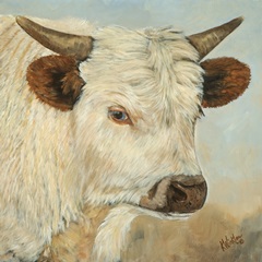 What a Wonderful World