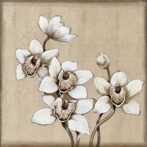 White Orchid I