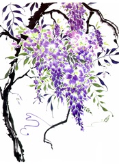 Wisteria Garden I