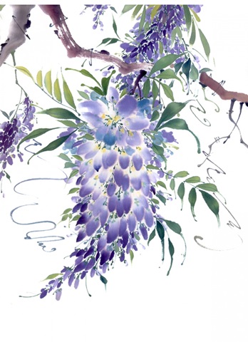 Wisteria Garden II