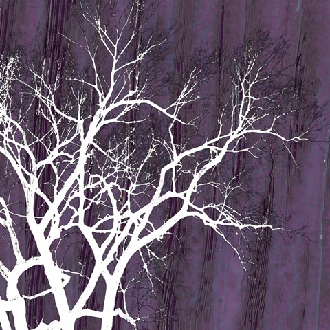 Aurora Silhouette II