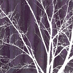 Aurora Silhouette III