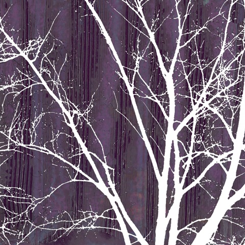 Aurora Silhouette III