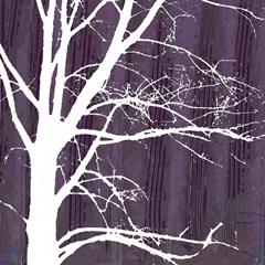 Aurora Silhouette IV