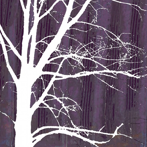 Aurora Silhouette IV