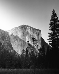 El Capitan in Shadow