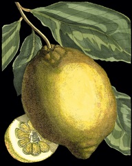Fragrant Citrus II