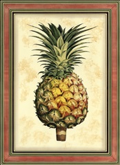 Pineapple Splendor I