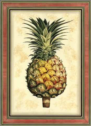 Pineapple Splendor I