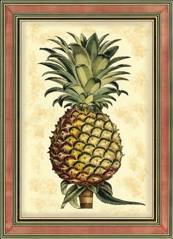 Pineapple Splendor II