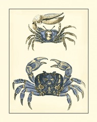 Antique Blue Crabs II