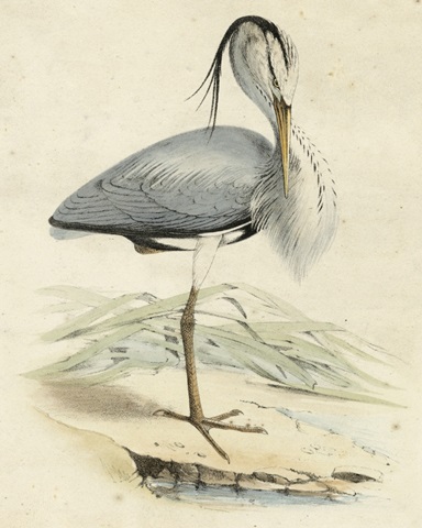 Antique Heron IV